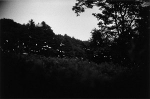 Gregory Crewdson, 1996, Untitled (11-35) [silver gelatin print]