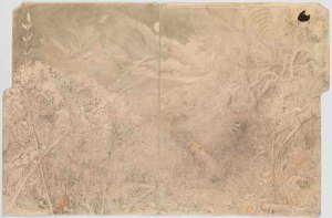 Rip's revelation (...revolution)