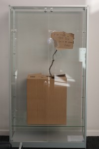 Justine Giles, 2015, If you lived in this box