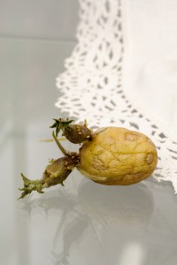 Justine Giles, 2015, The things we (never) leave behind2