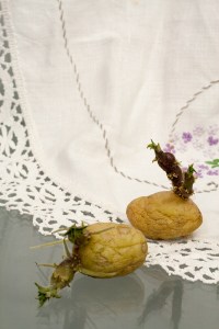 Justine Giles, 2015, The things we (never) leave behind3