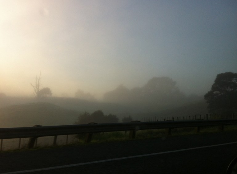 Welcome to the Waikato